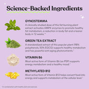 Lemme Burn - Metabolism Belly Fat Burning